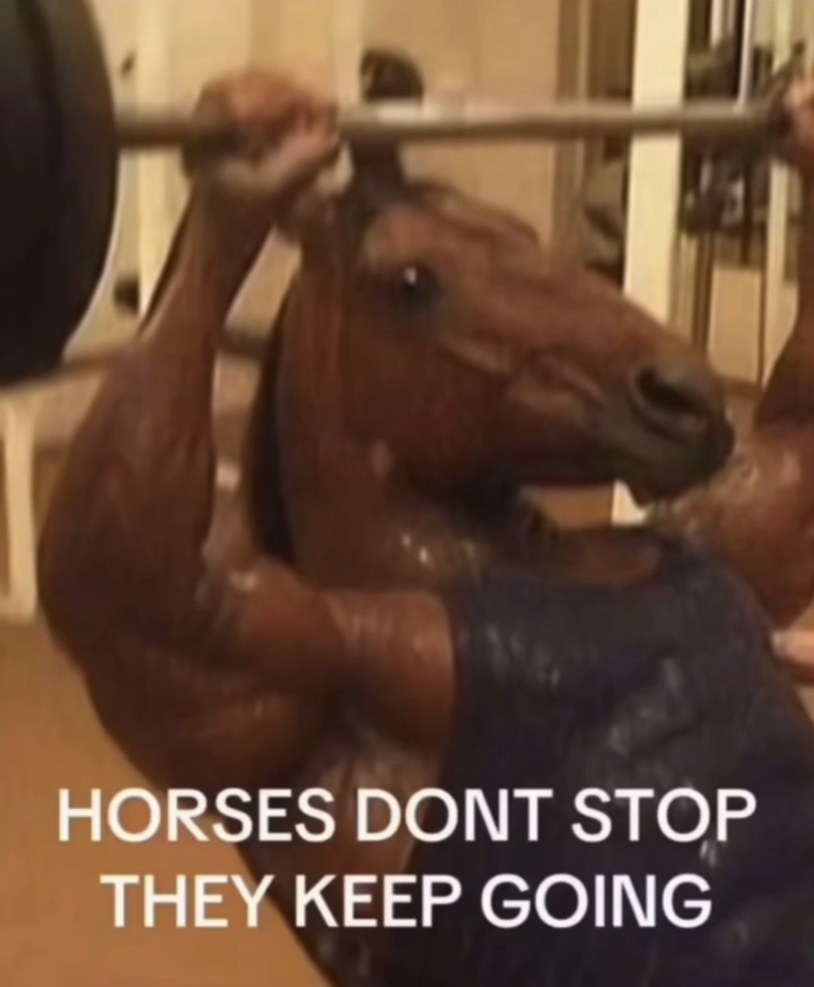 Horses don't stop, they keep going